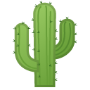 🌵