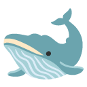 🐋