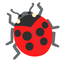 🐞