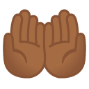 🤲🏾