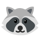 🦝